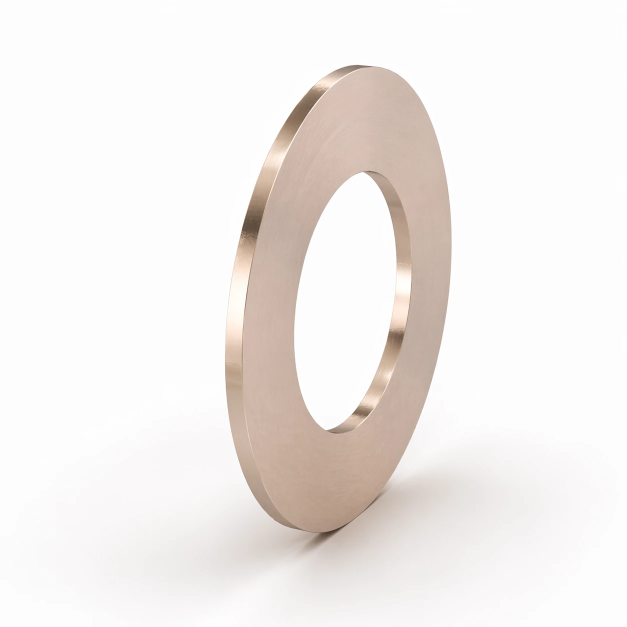Cu-Ni Solid Metal Gasket exporter in india