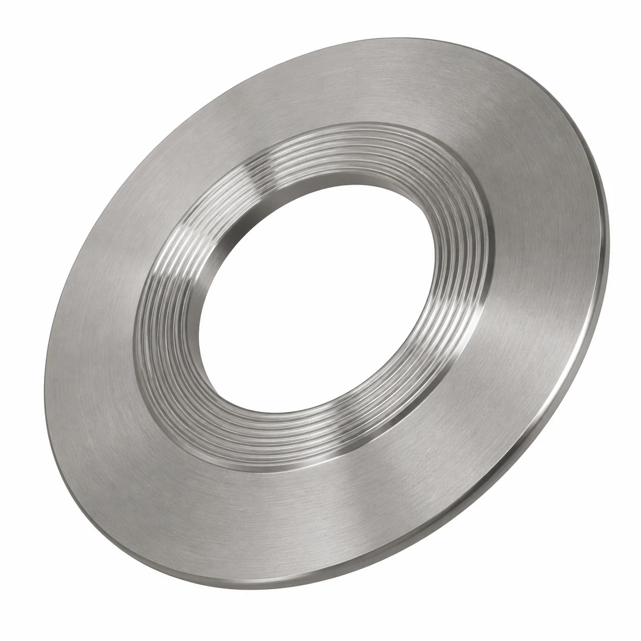Hastelloy Kammprofile Gasket