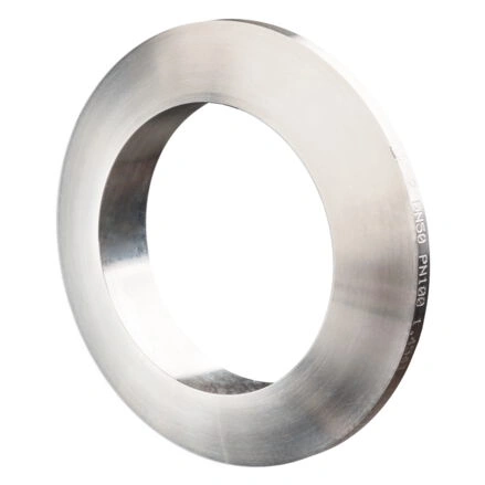 Monel Lens Ring Gasket