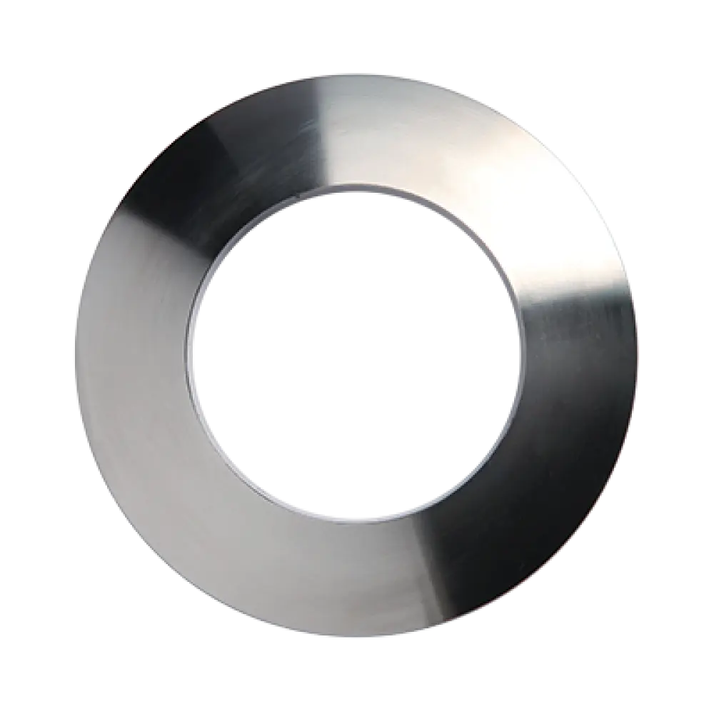 SS Lens Ring Gasket